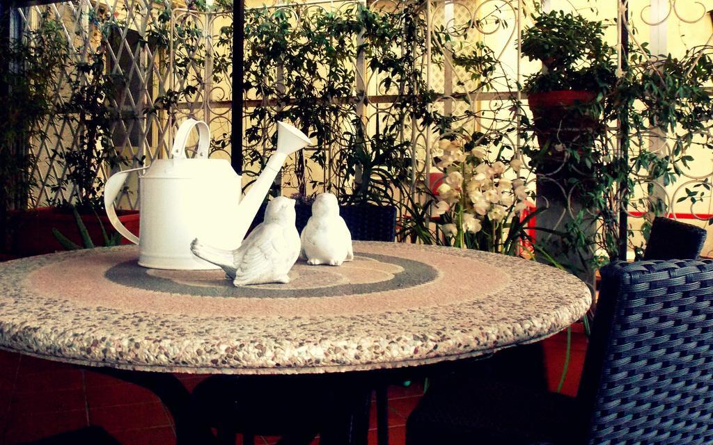 ألبينغا B&B Elisir المظهر الخارجي الصورة