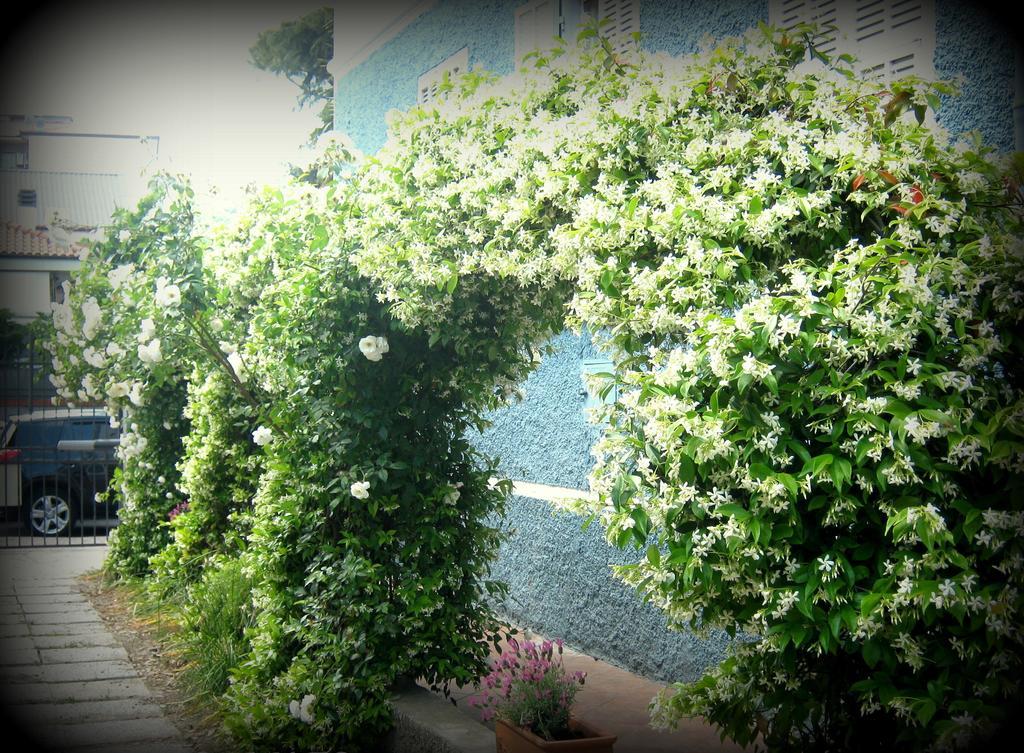 ألبينغا B&B Elisir المظهر الخارجي الصورة