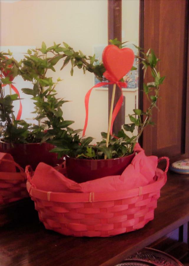 ألبينغا B&B Elisir المظهر الخارجي الصورة
